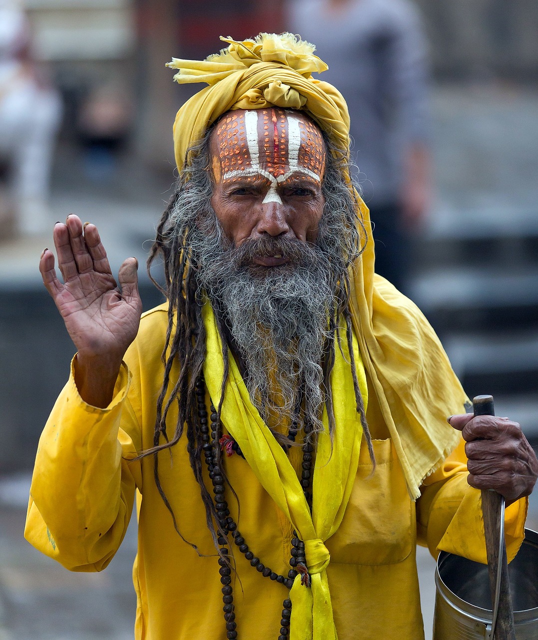 nepal guru man free photo
