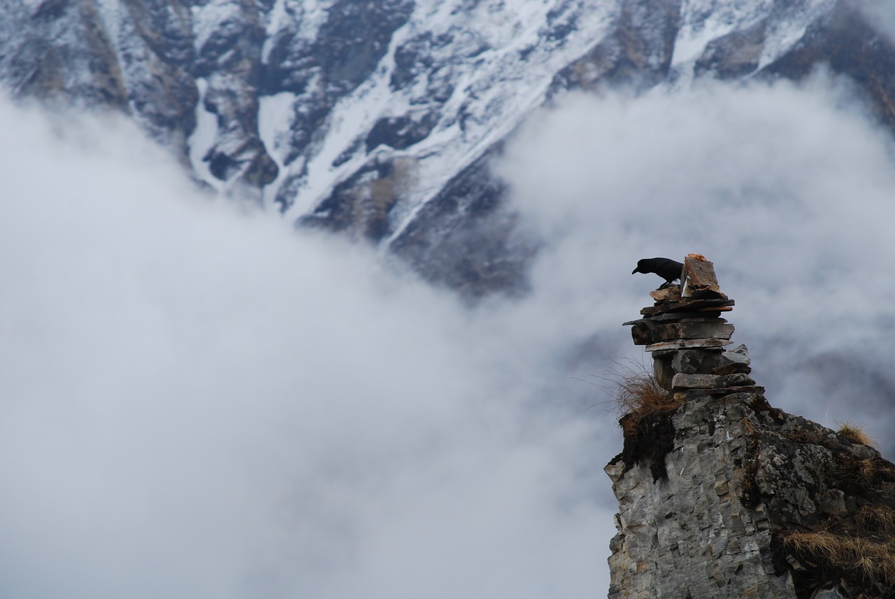 nepal bird cairn free photo