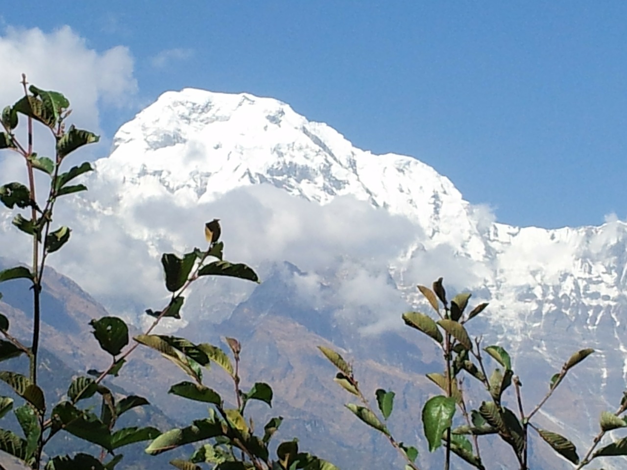 nepal tracking annapurna free photo