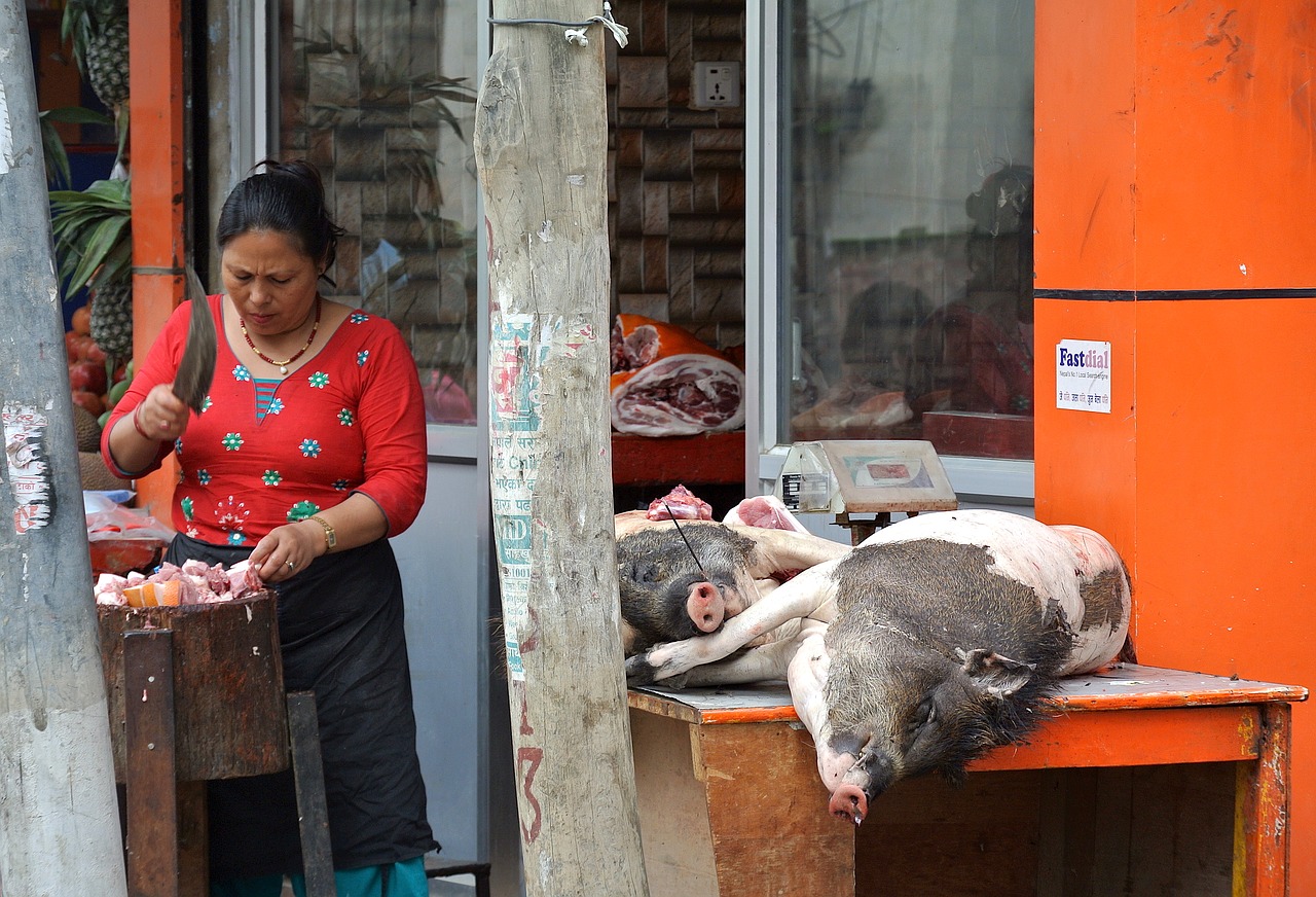 nepal kathmandu woman free photo