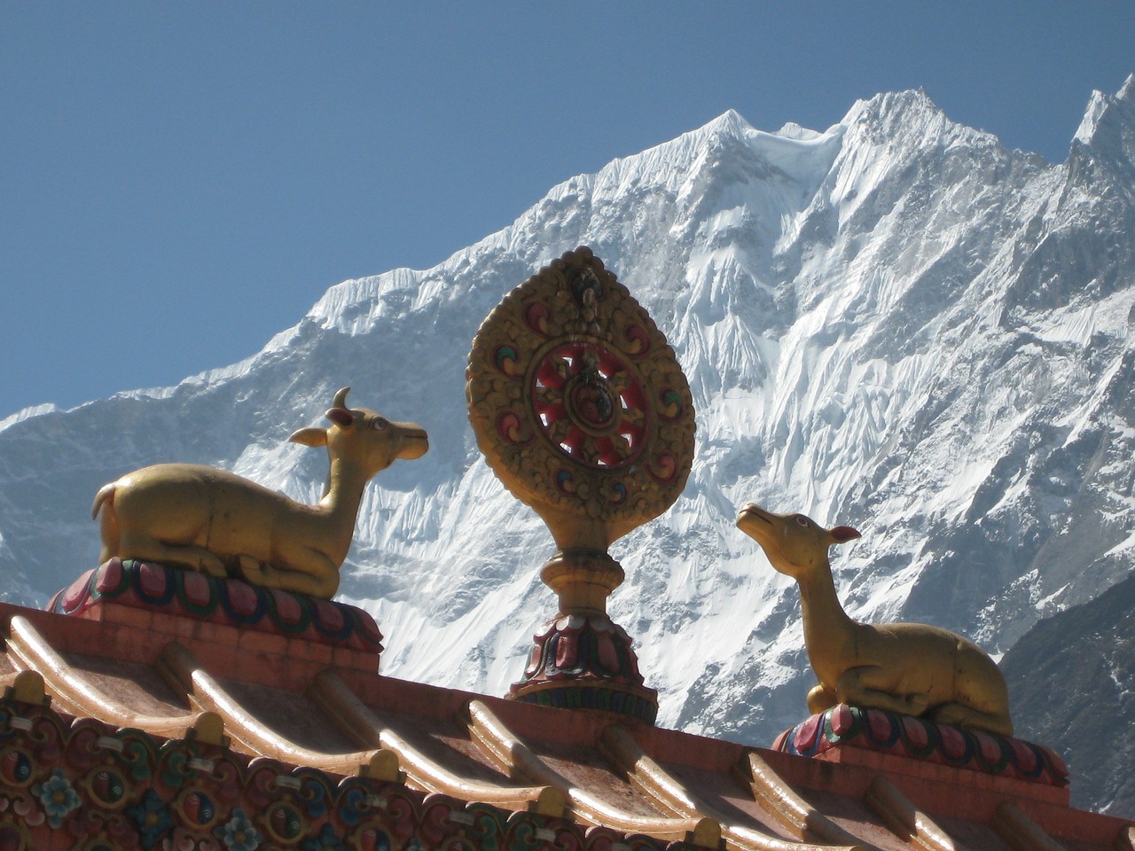 nepal himalayas buddhism free photo