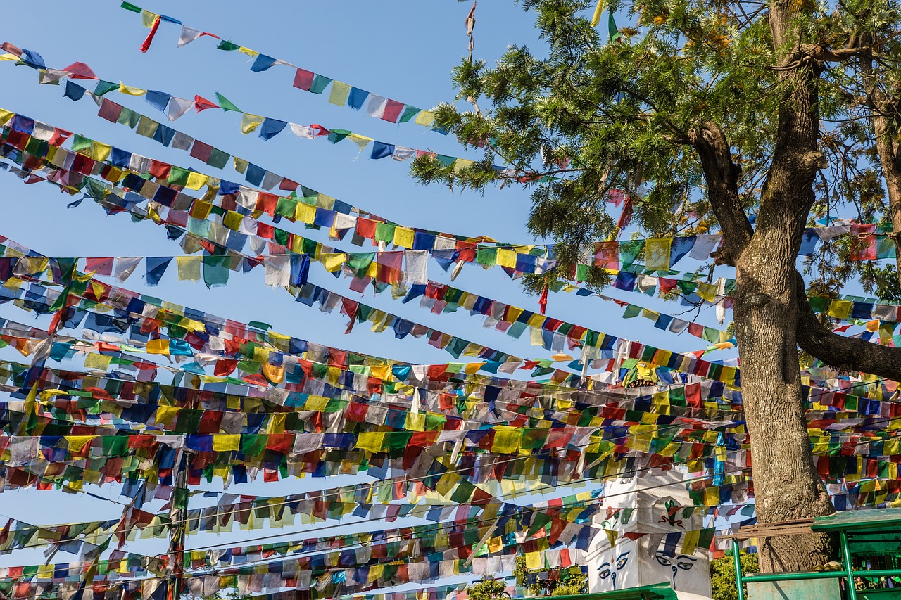 nepal  kathmandu  prayer flags free photo