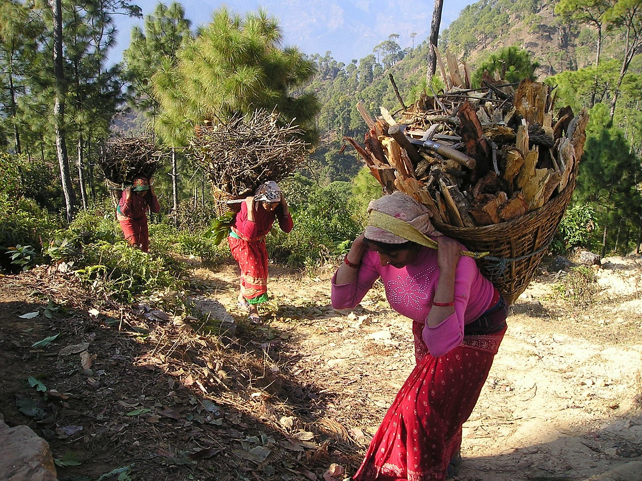 nepal,carrier,baskets,firewood,hard,free pictures, free photos, free images, royalty free, free illustrations, public domain