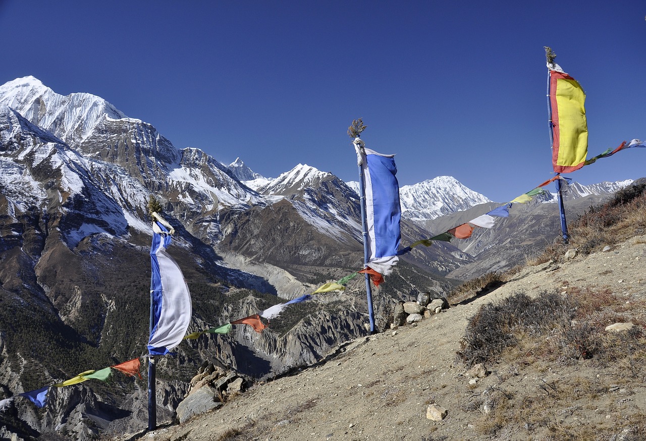 nepal  prayer flags  tre free photo