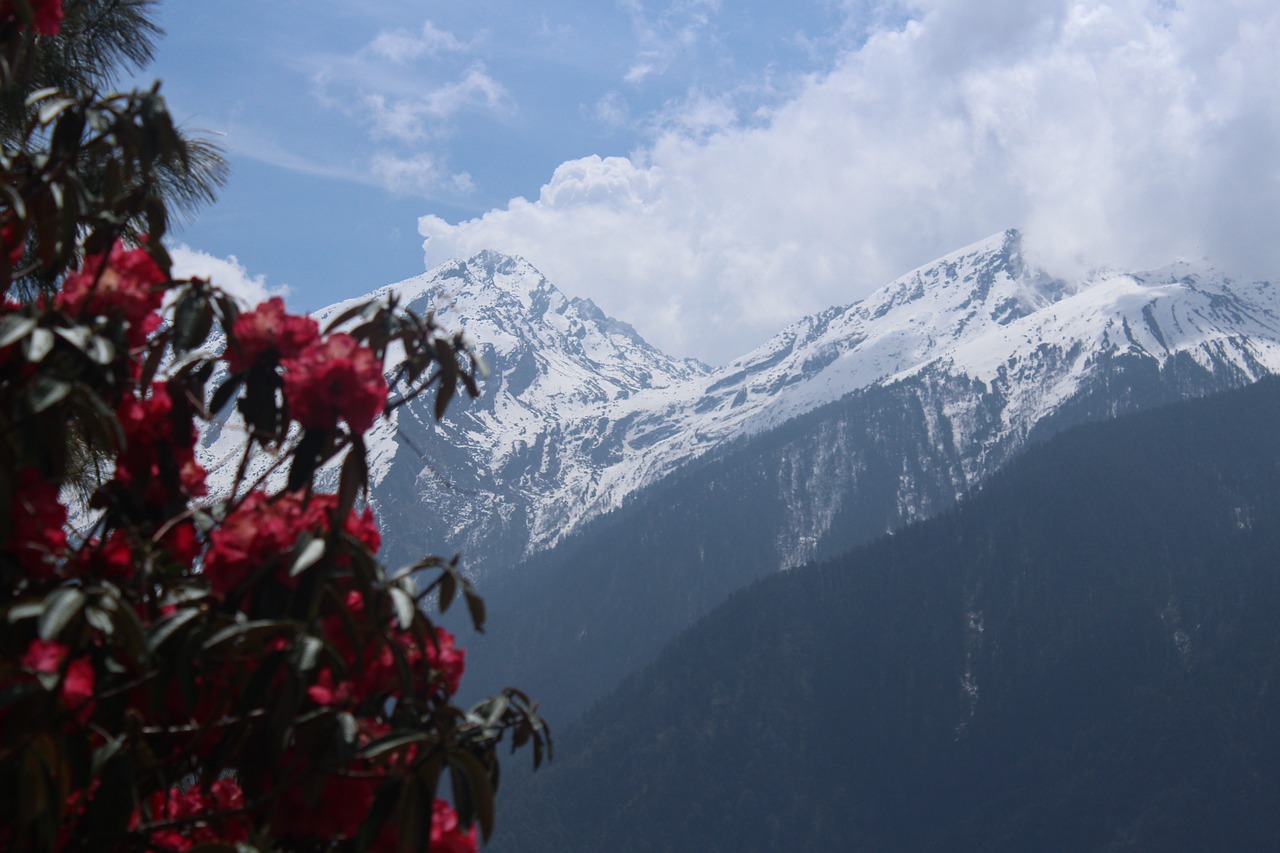 nepal trekking nepal trekking free photo