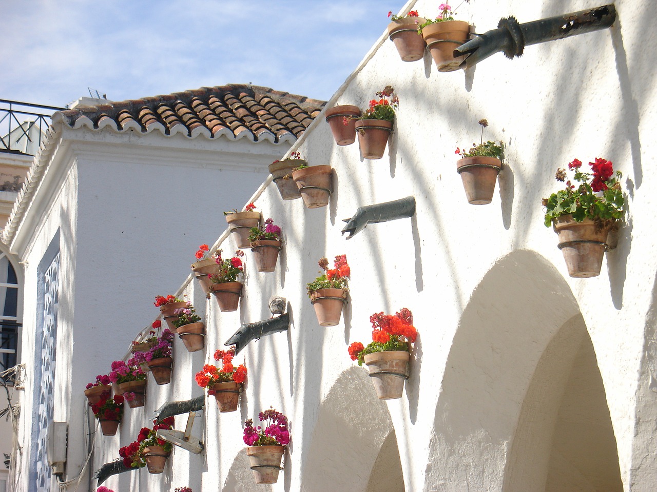 nerja spain flowers free photo