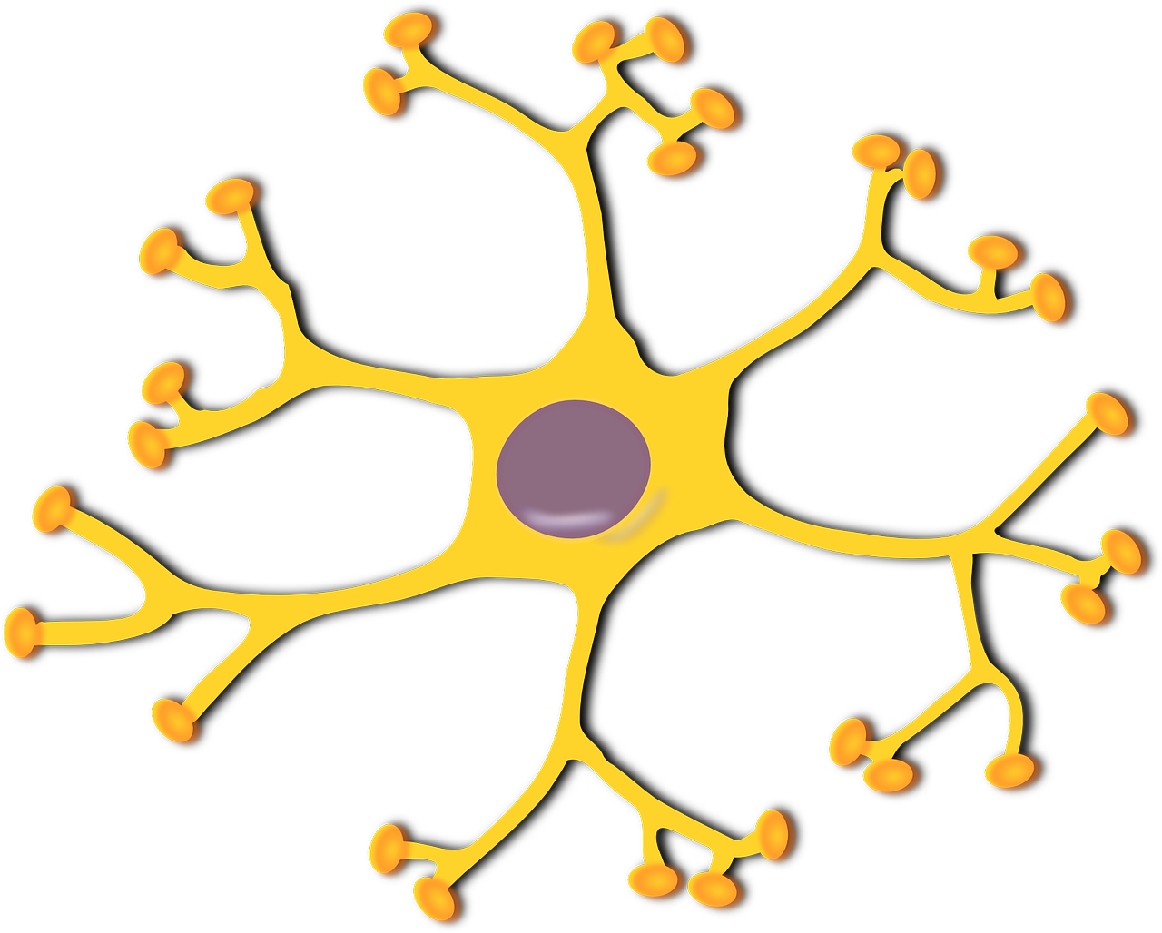 Edit Free Photo Of Nerve Cell neuron biology science cell Needpix