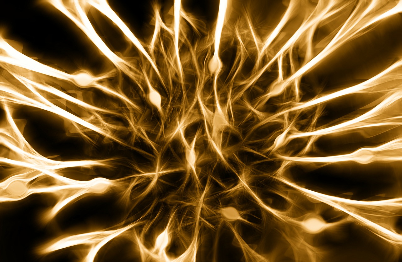 nerves cells dendrites sepia free photo