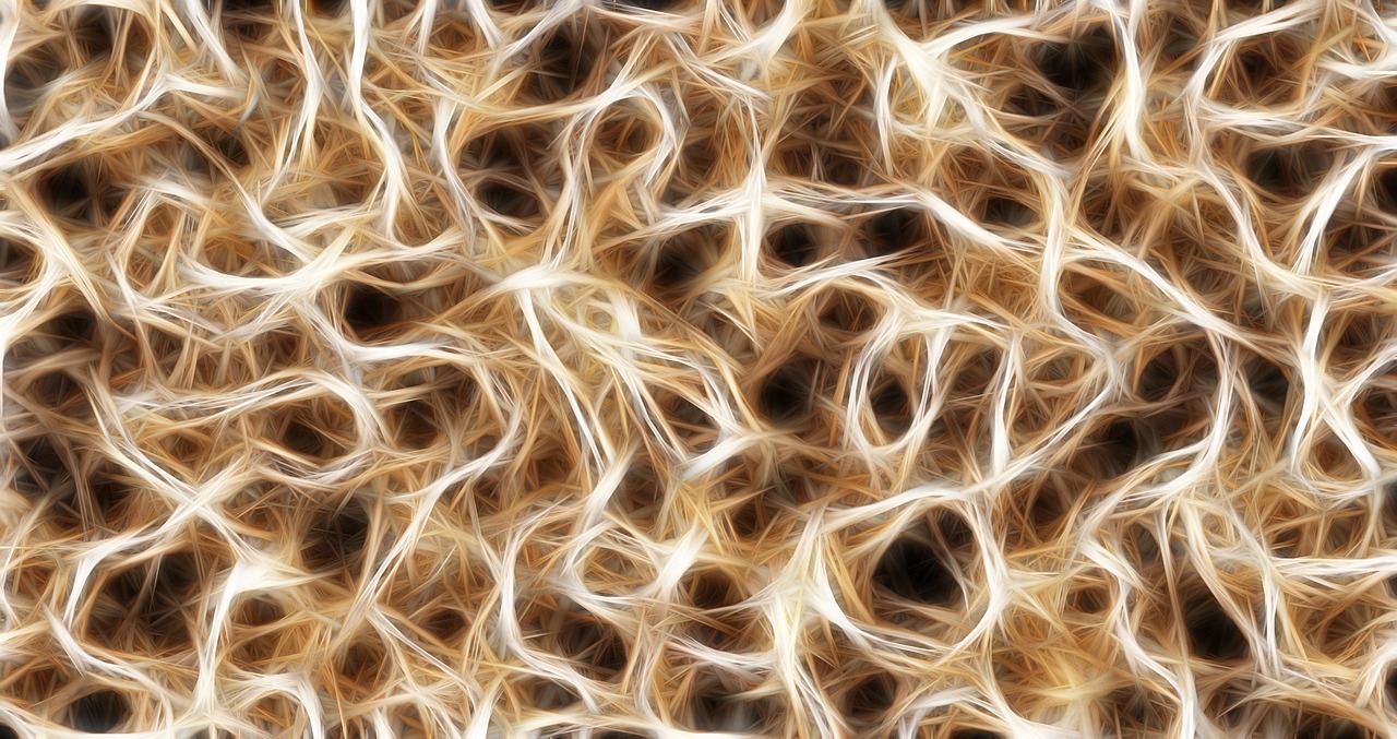 nerves cells dendrites sepia free photo