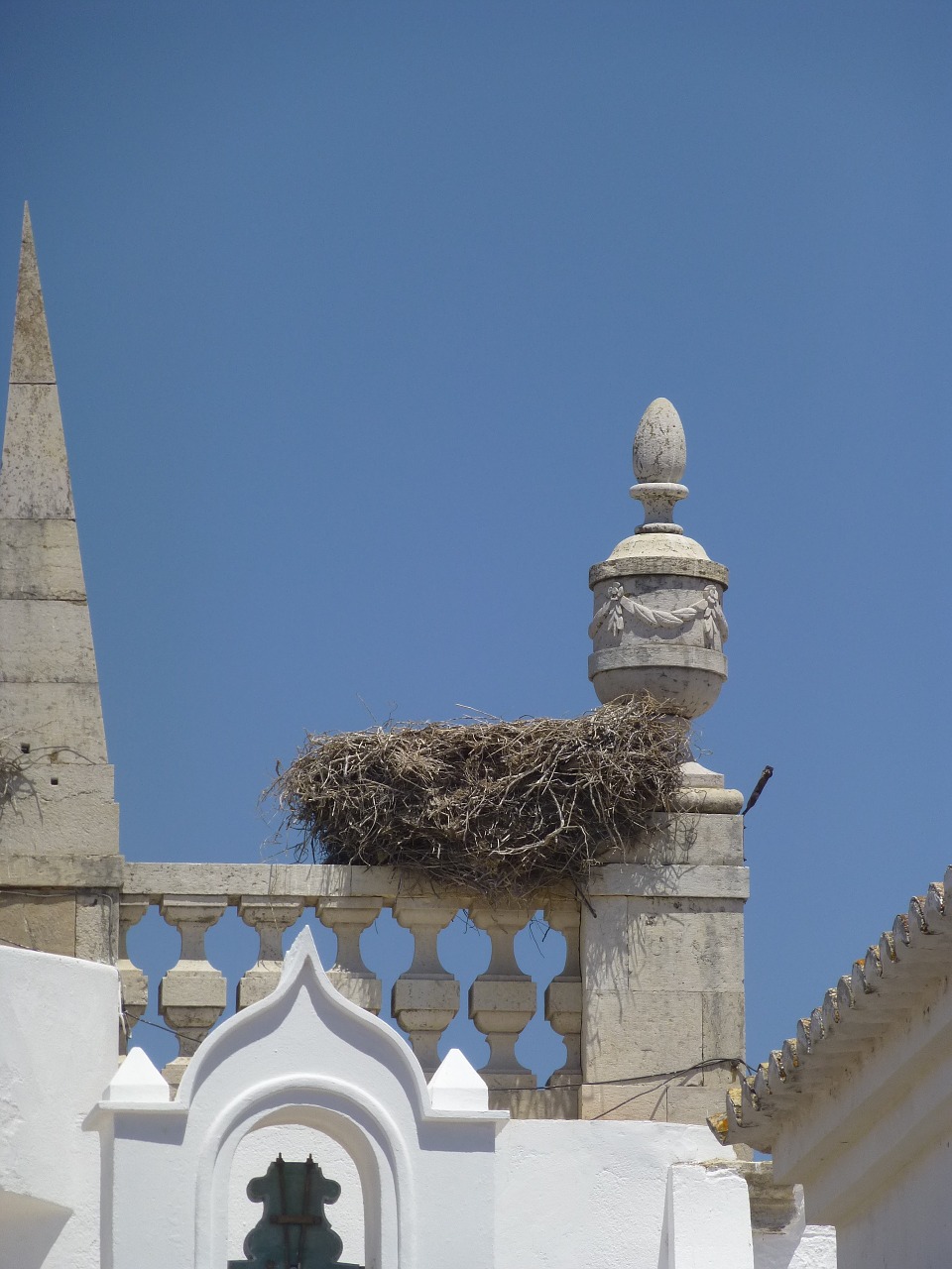 nest stork portugal free photo