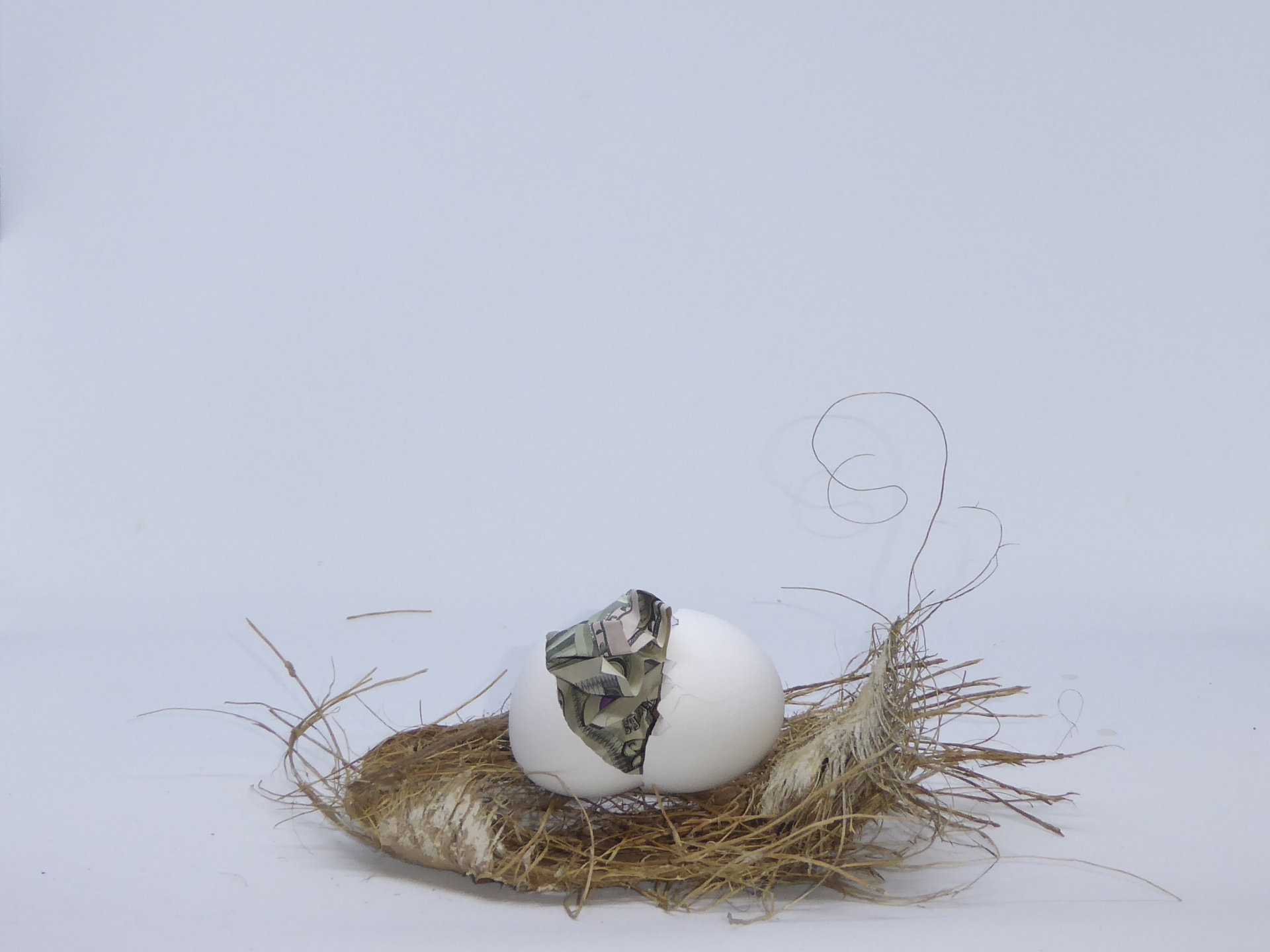 nest egg money egg shell free photo