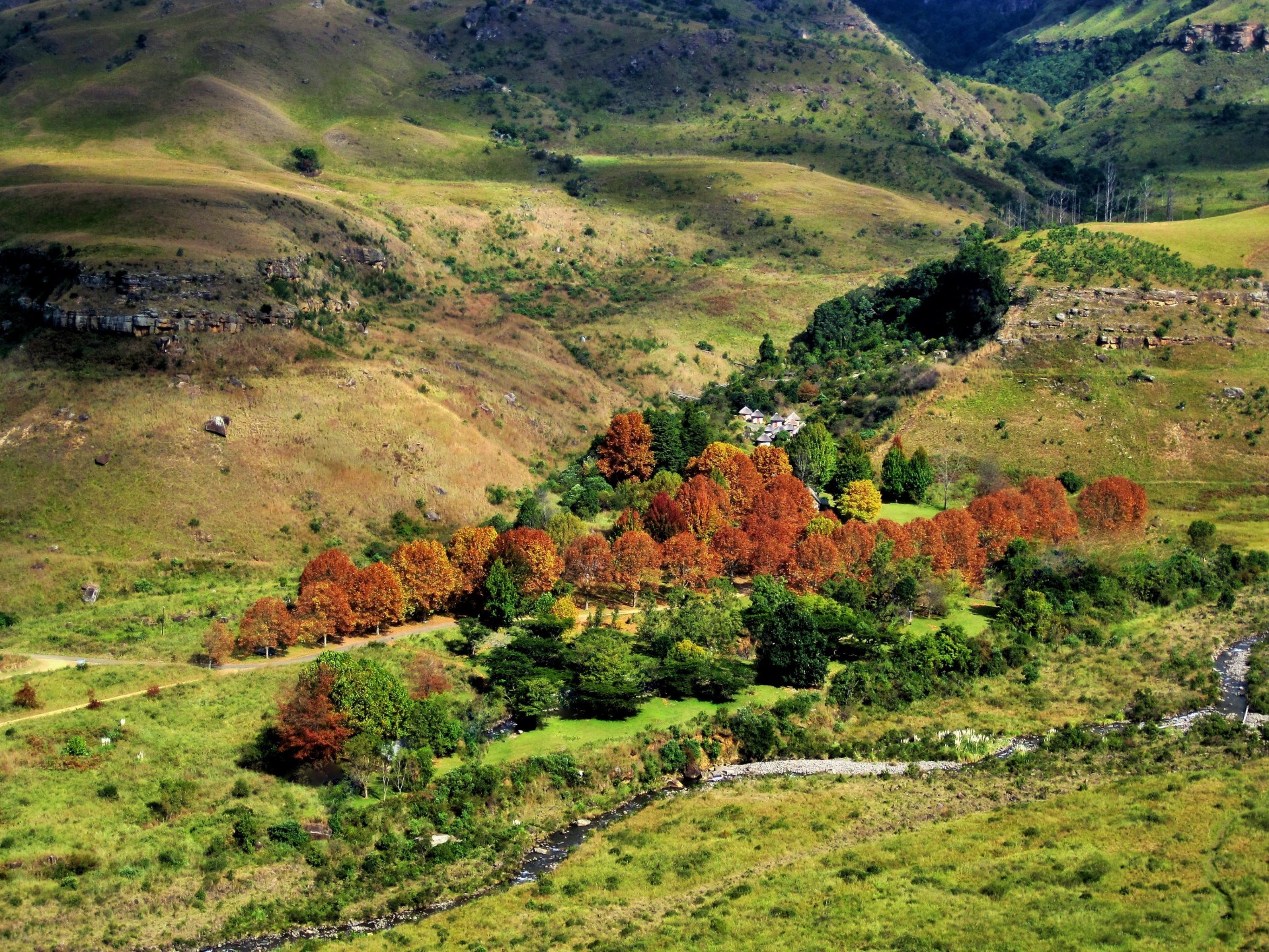 mountains valley trees free photo