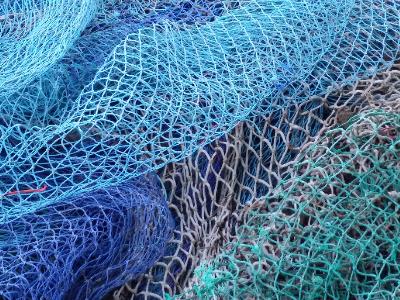 Net,fishing,fisherman,port,sea - free image from
