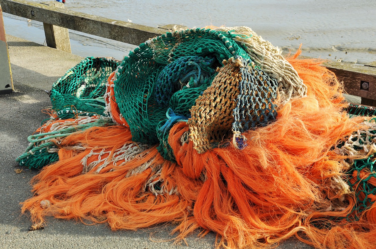 net fishing colors free photo