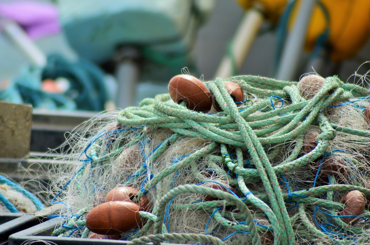 net fishing nets france free photo