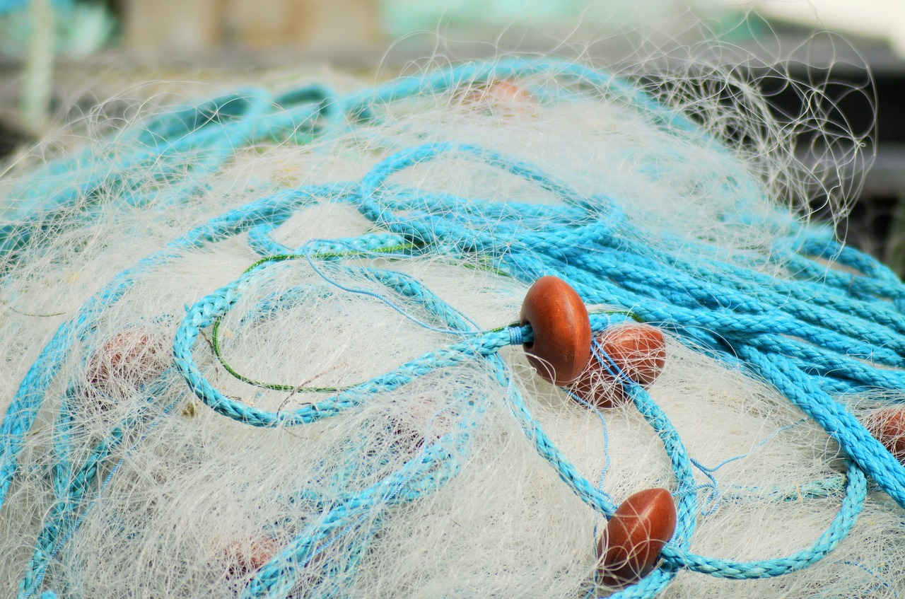 net fishing nets france free photo