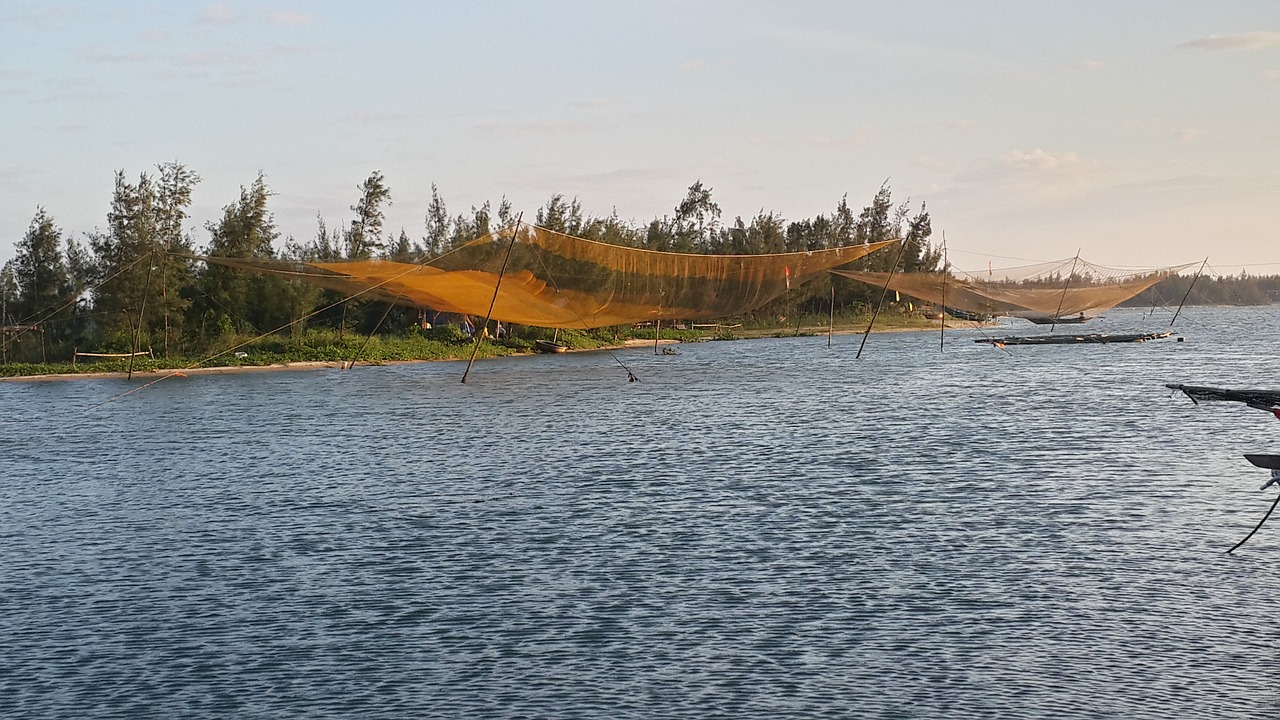 net river fishing free photo