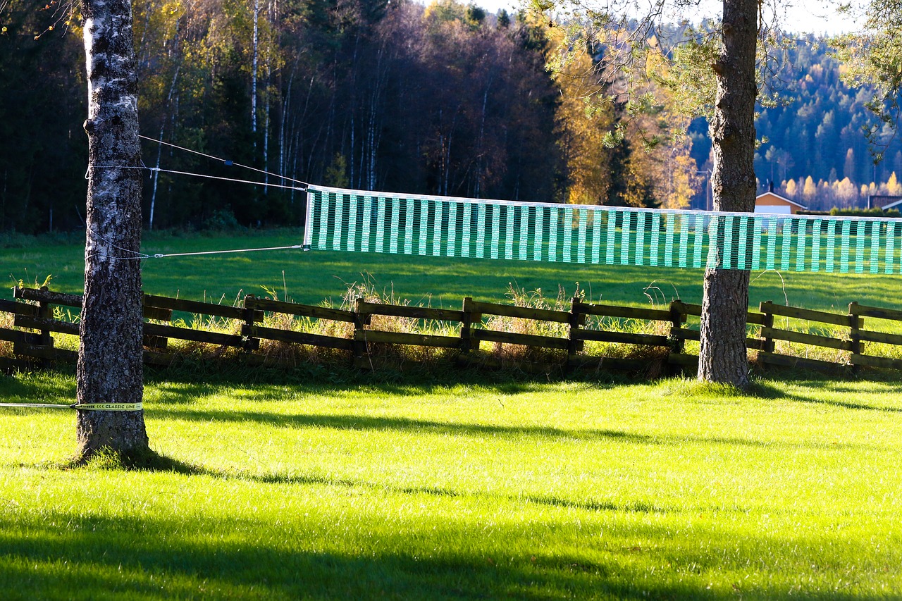 net volleyball net grass free photo