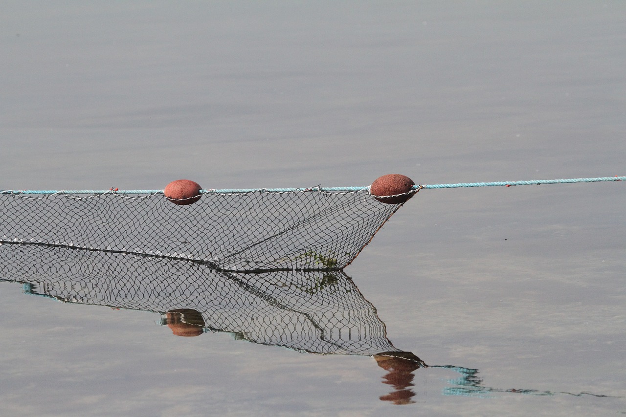 net  fishing  sea free photo