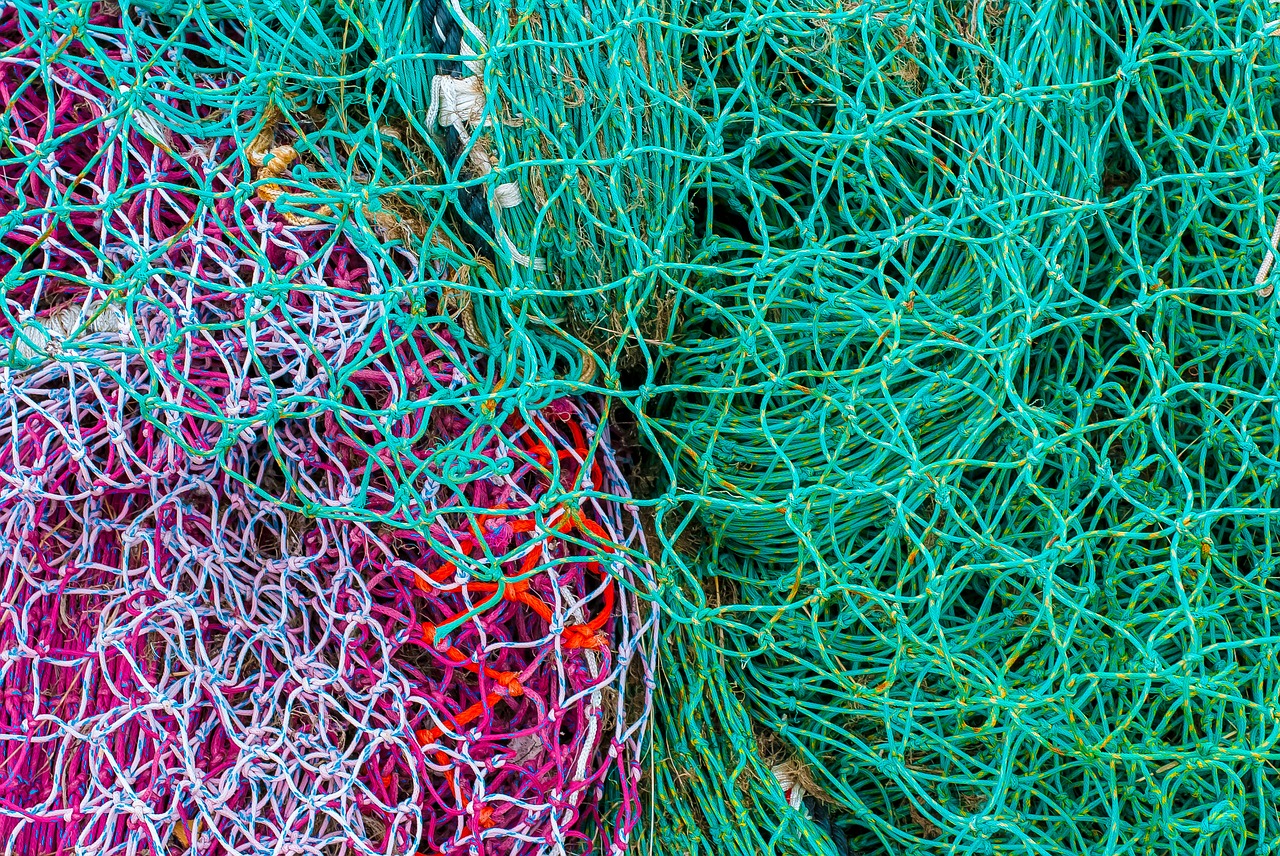 net  fishing  color free photo