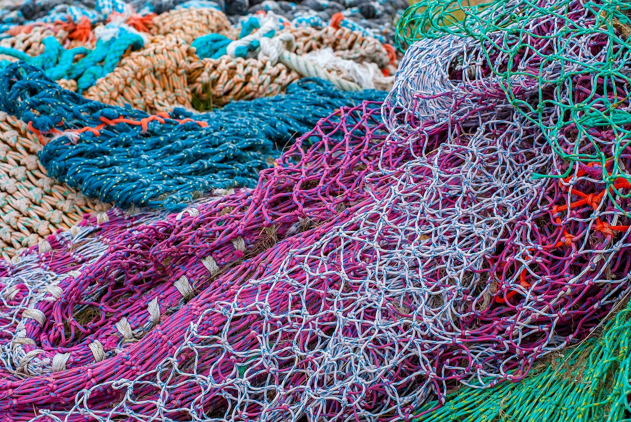 net  fishing  rope free photo
