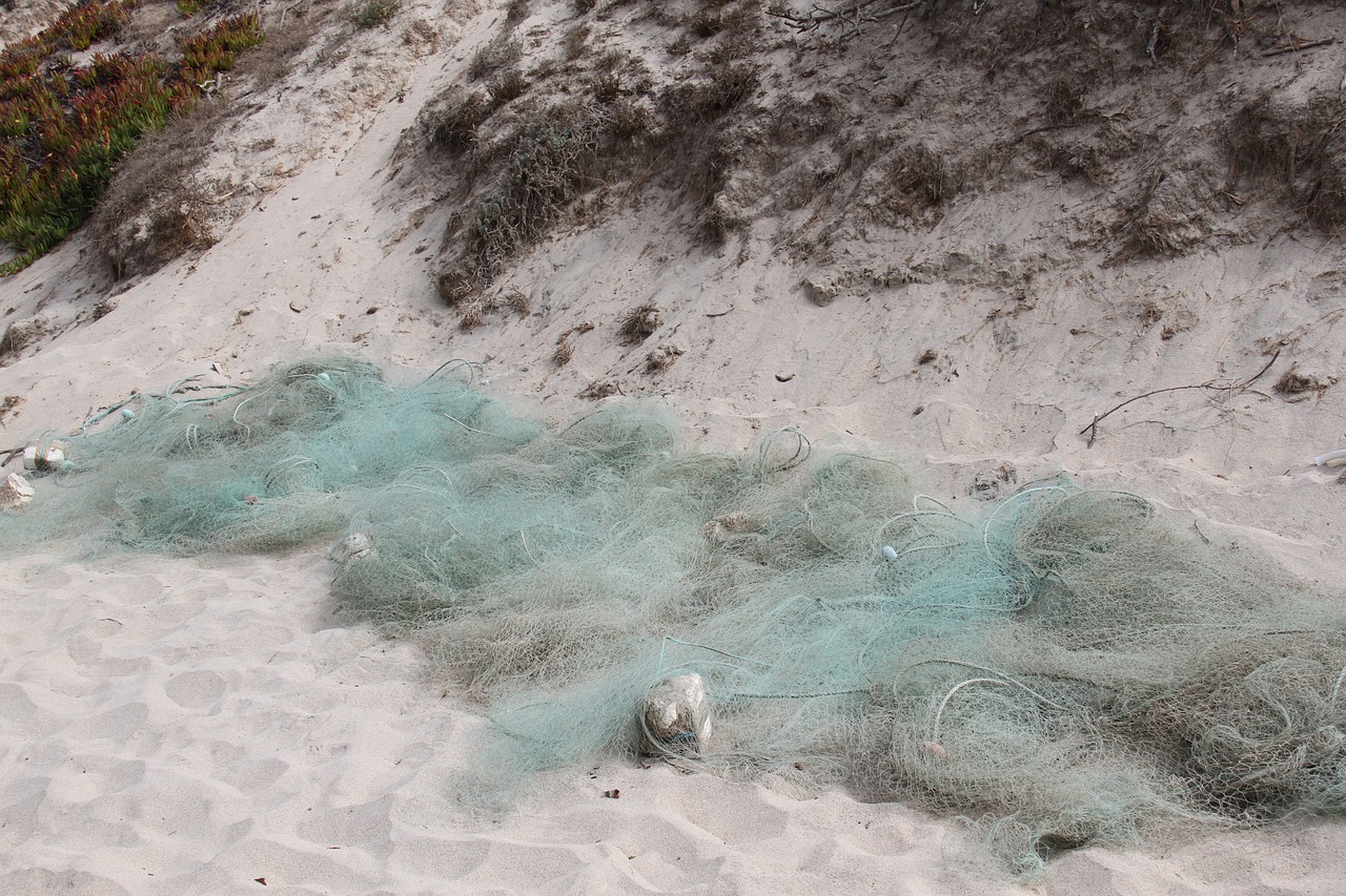 net  fisherman  beach free photo