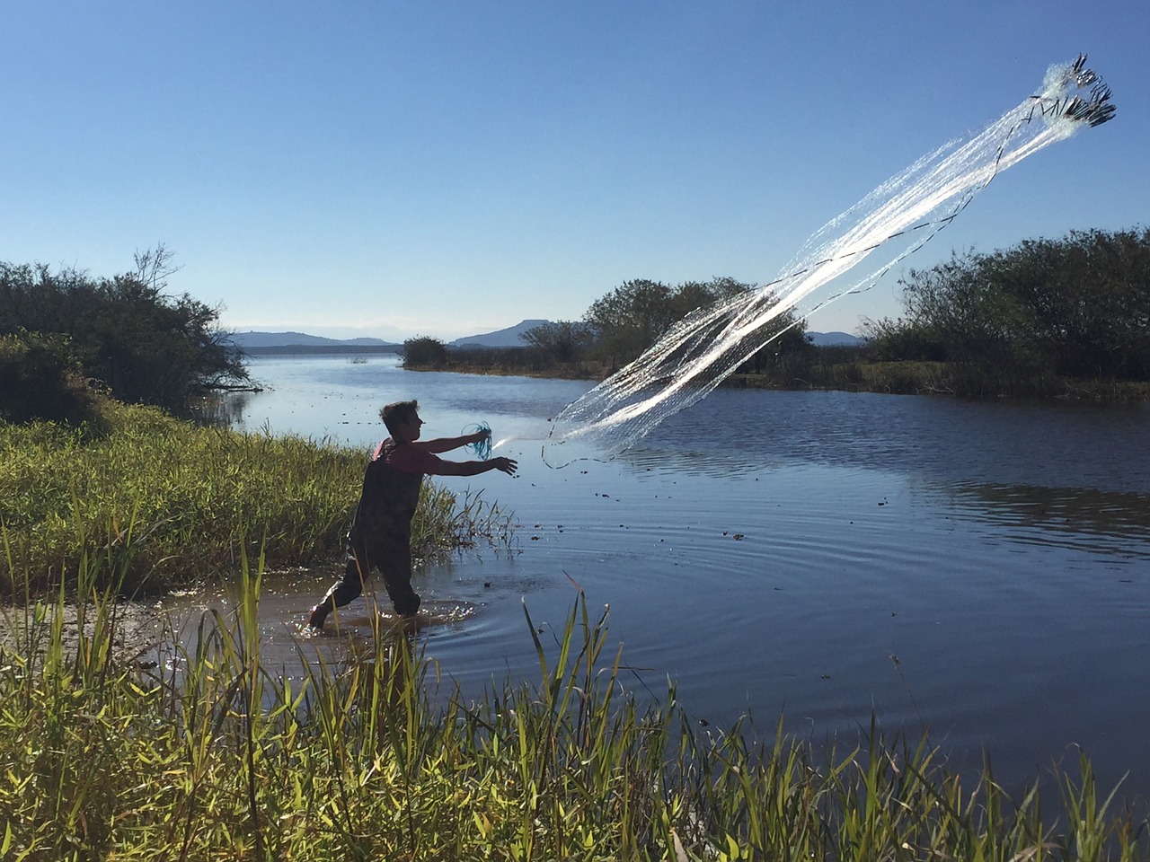 fishing network rio free photo