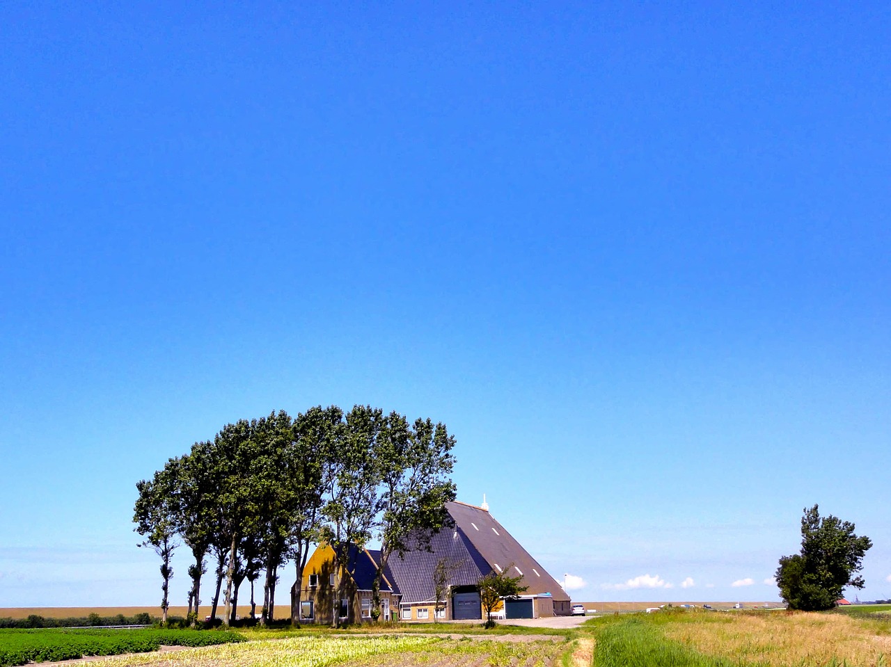 netherlands landscape scenic free photo