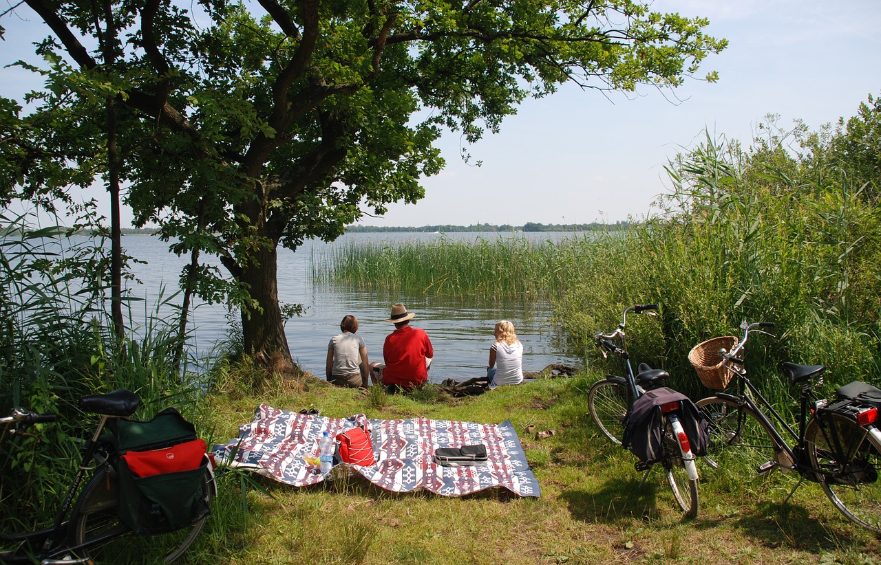 netherlands landscape nature free photo