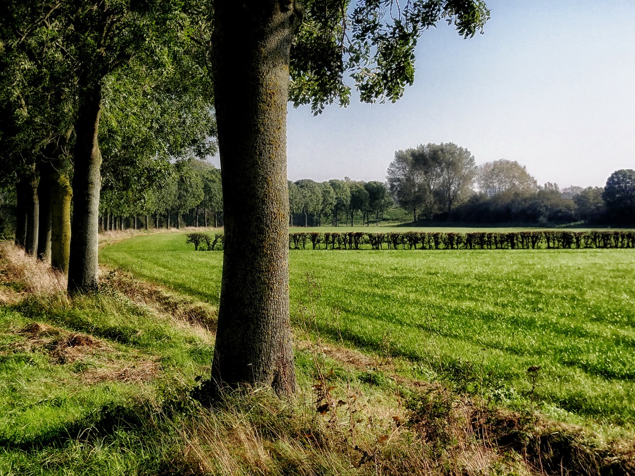 netherlands rural landscape free photo