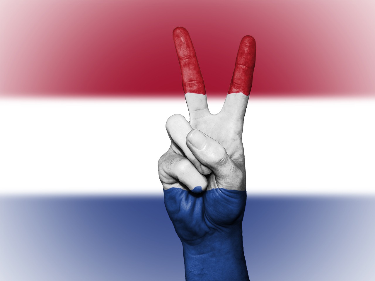 netherlands peace hand free photo