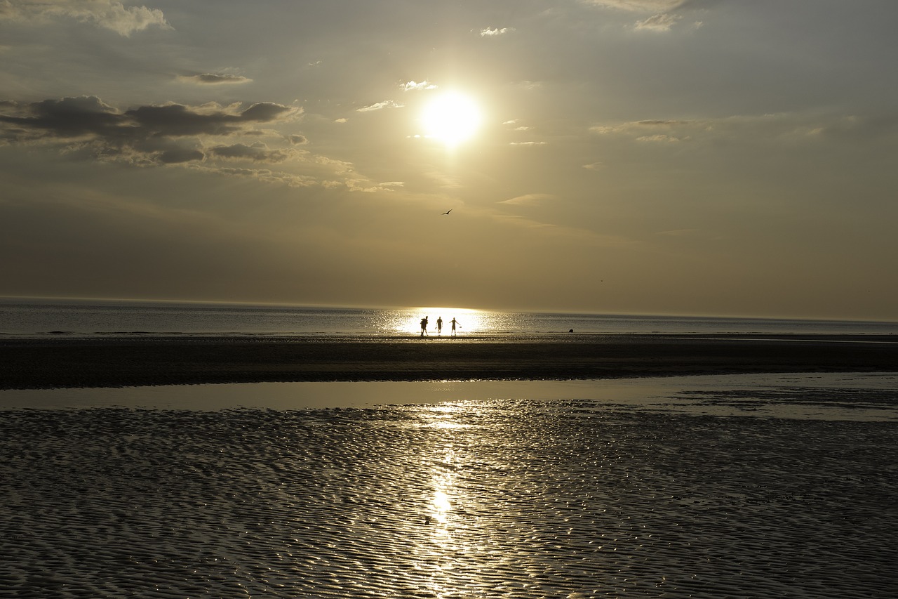 netherlands north sea sunset free photo