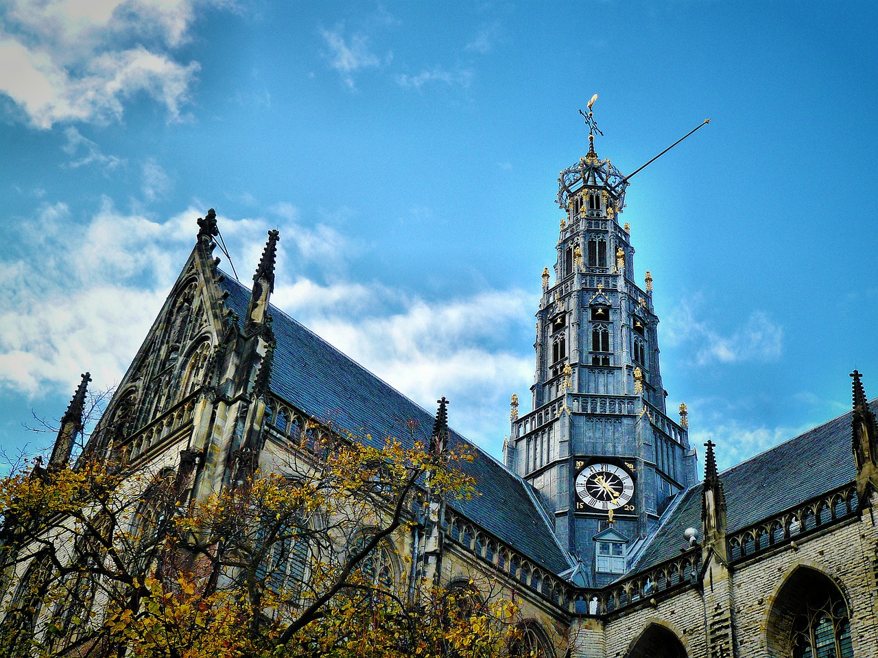 netherlands haarlem church free photo