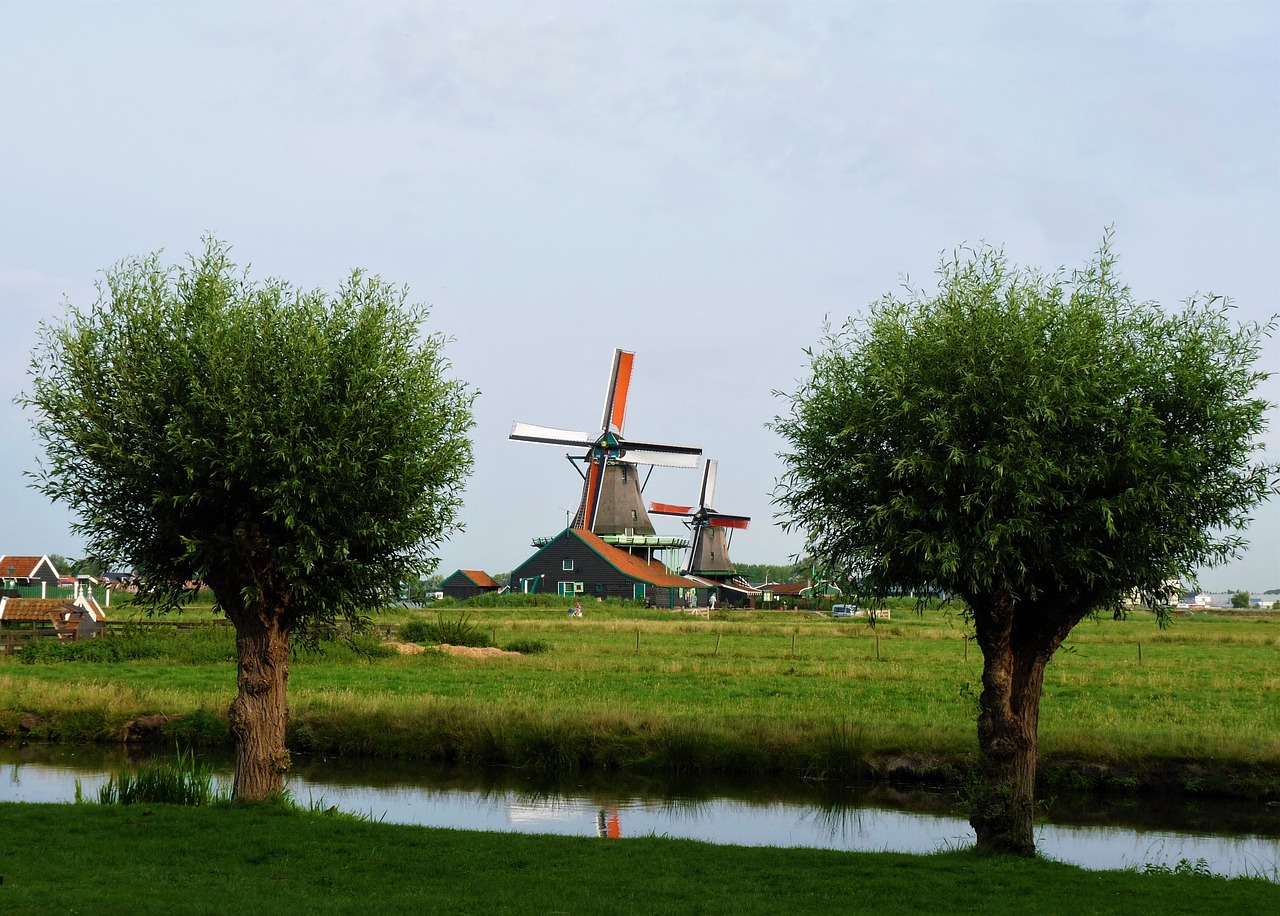 netherlands  trees  channel free photo