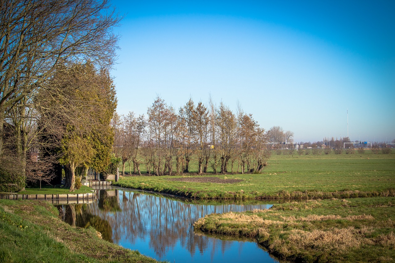 netherlands  ditch  pasture free photo