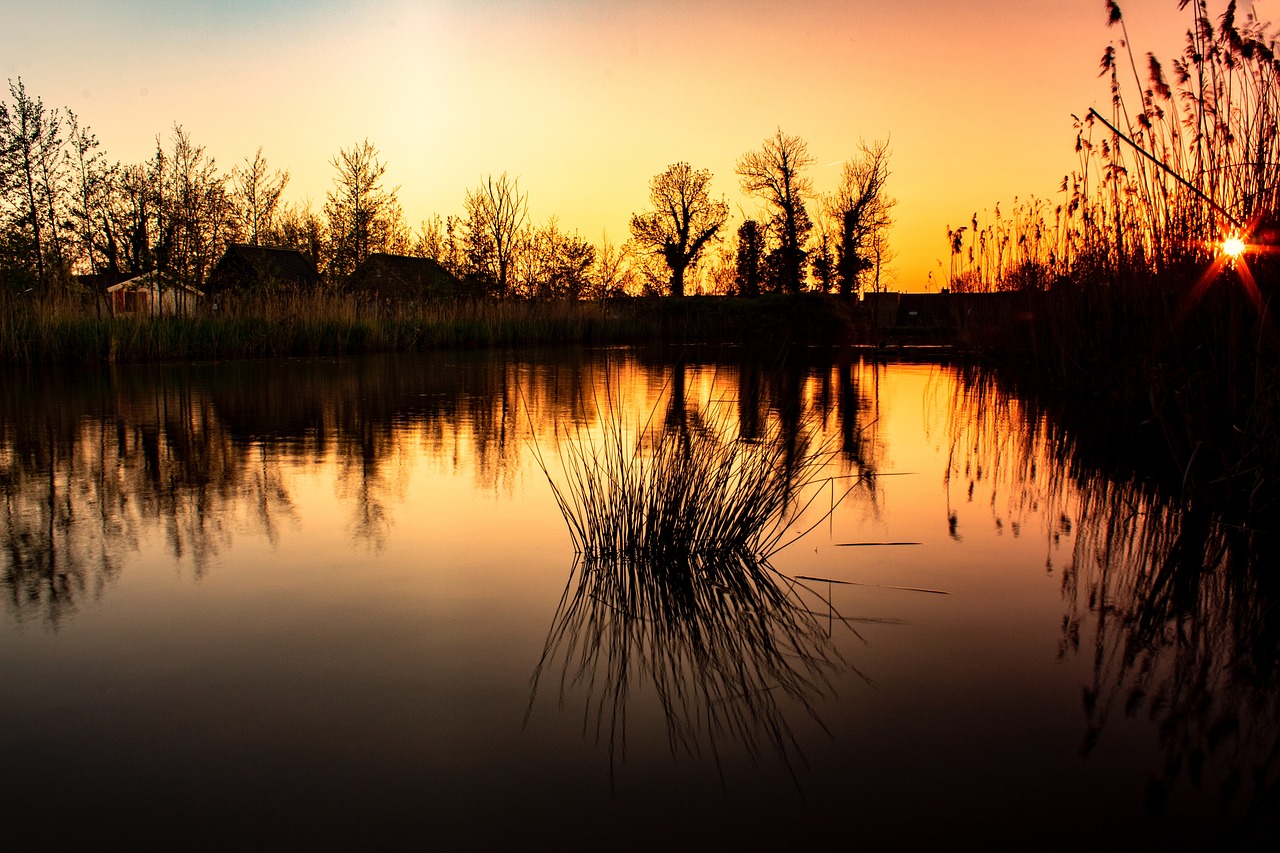 netherlands  water  sunset free photo