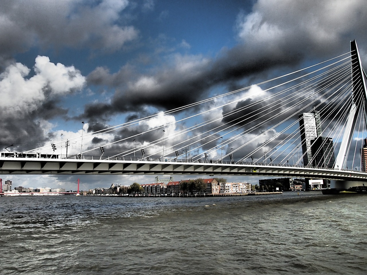 netherlands rotterdam bridge free photo