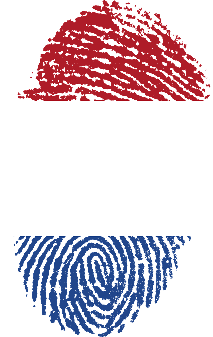 netherlands flag fingerprint free photo