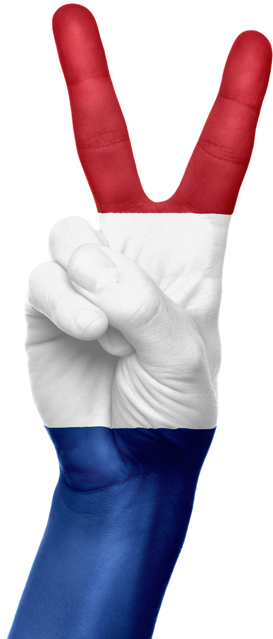 netherlands flag hand free photo