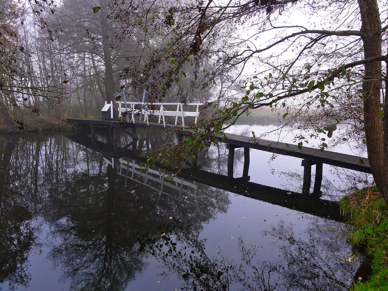 netherlands stream water free photo