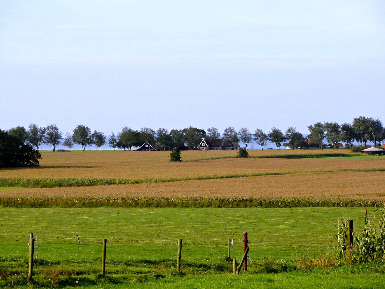 netherlands landscape fields free photo
