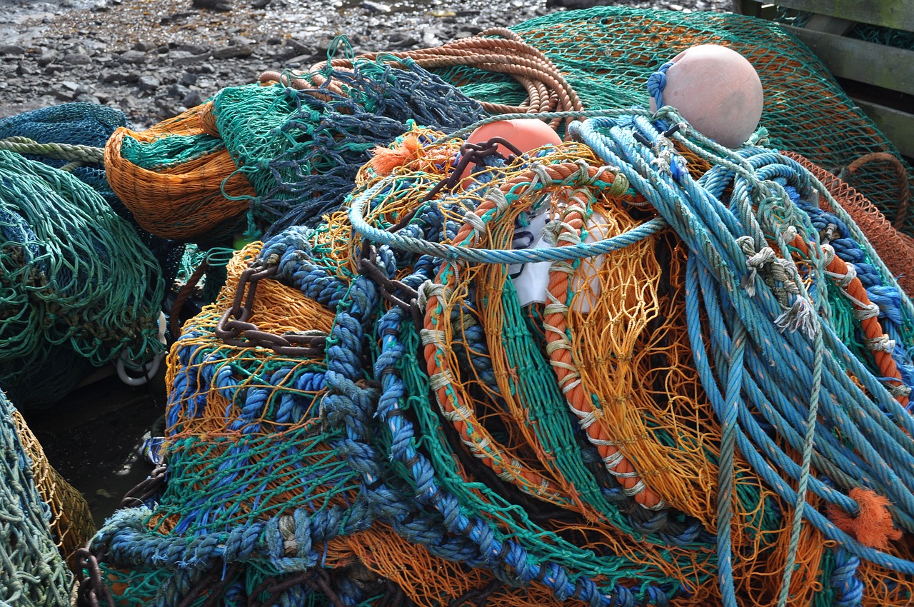 nets fishing colors free photo