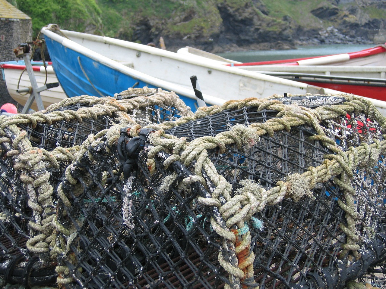 nets lobster fishing free photo