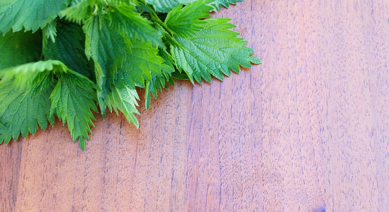 nettle on a wooden background leaf background free photo