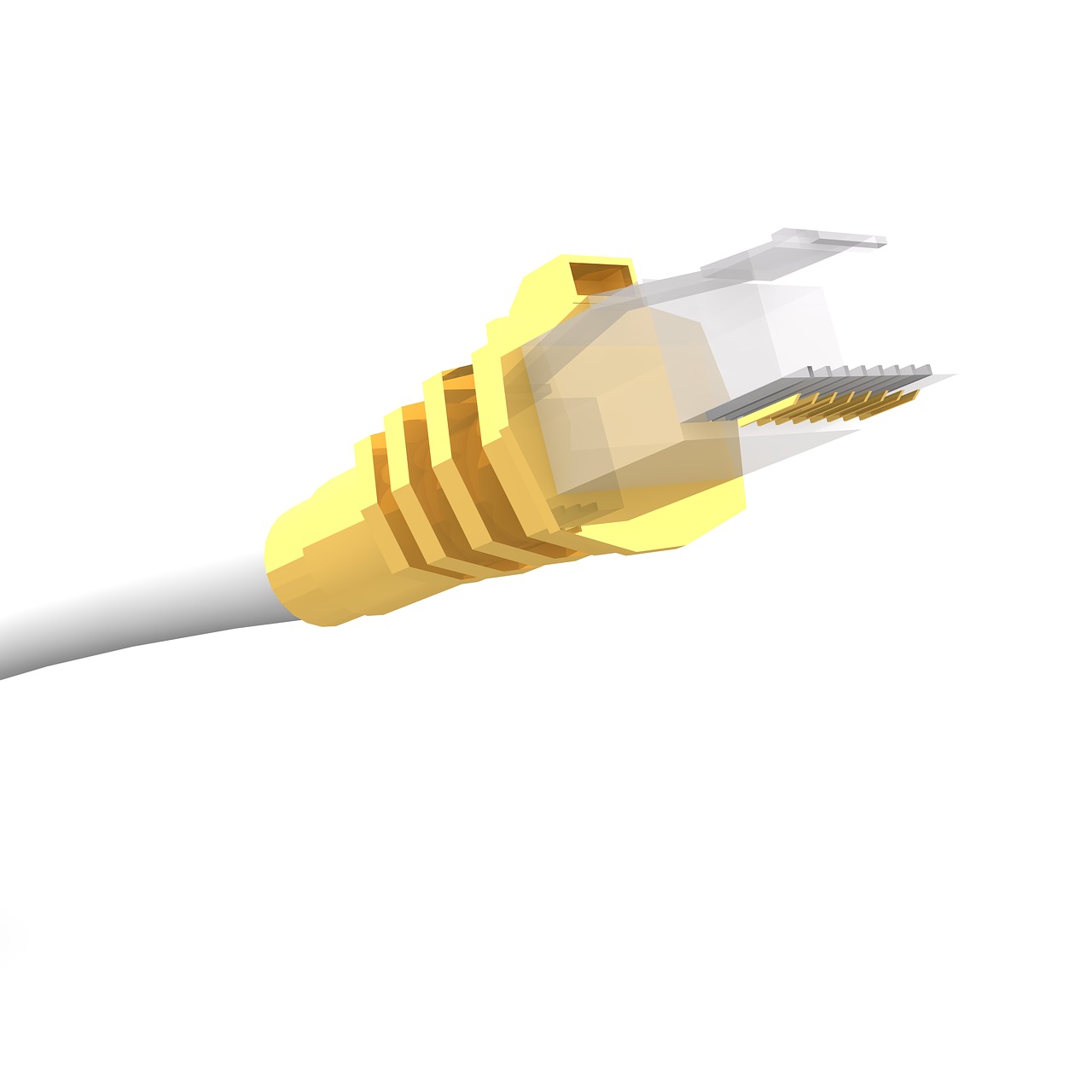 network cable ethernet free photo