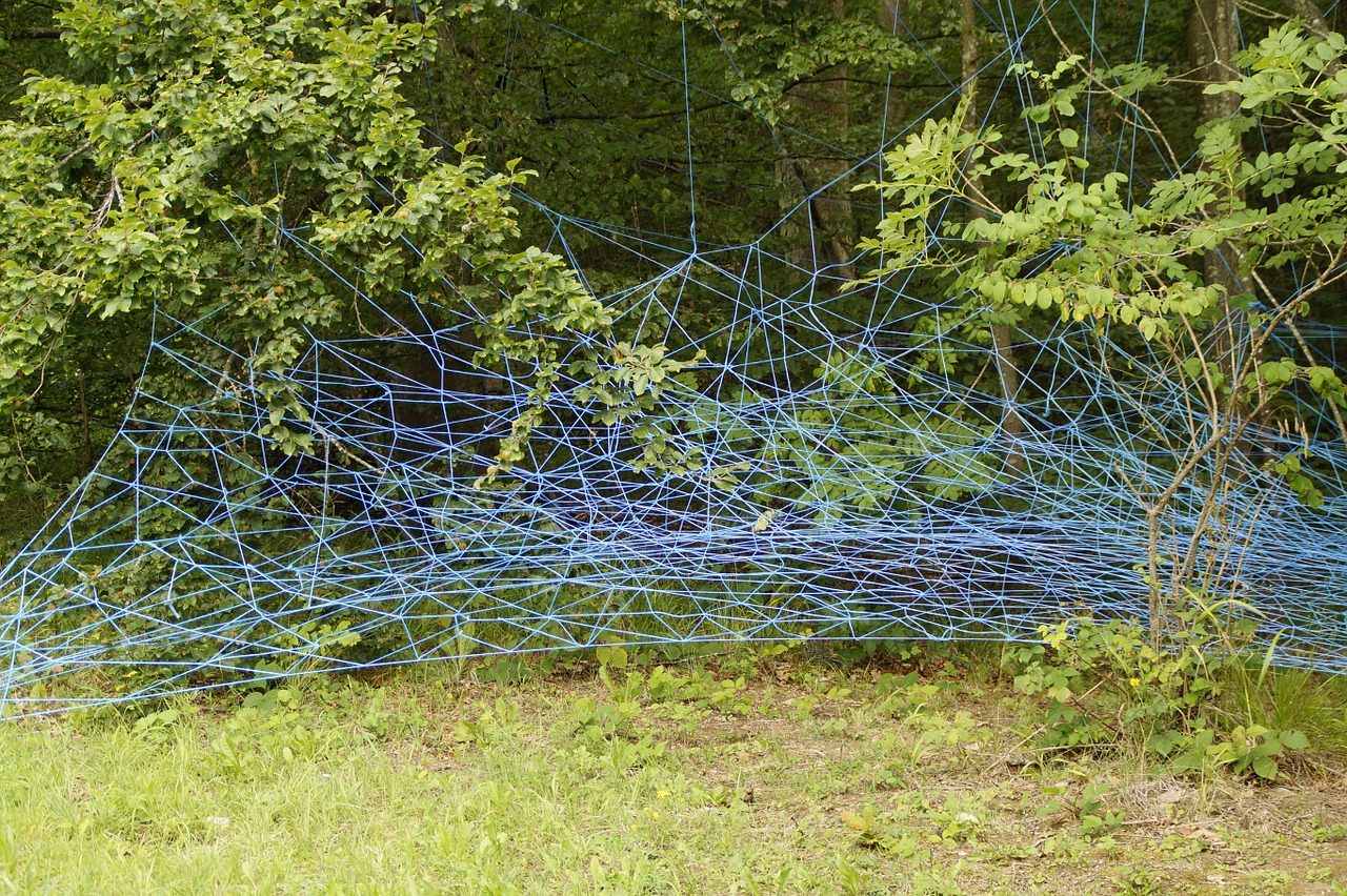 network blue branches free photo
