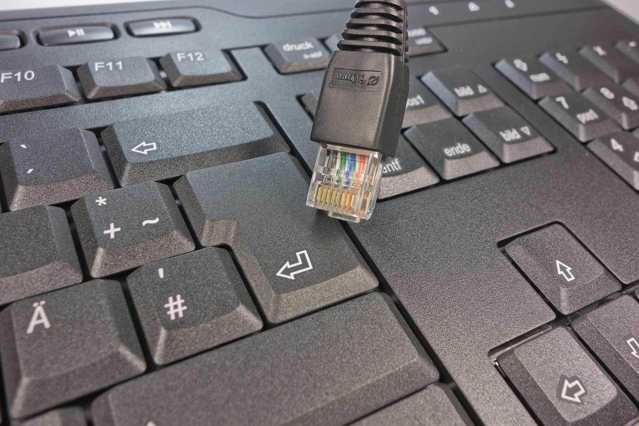 network network cables keyboard free photo
