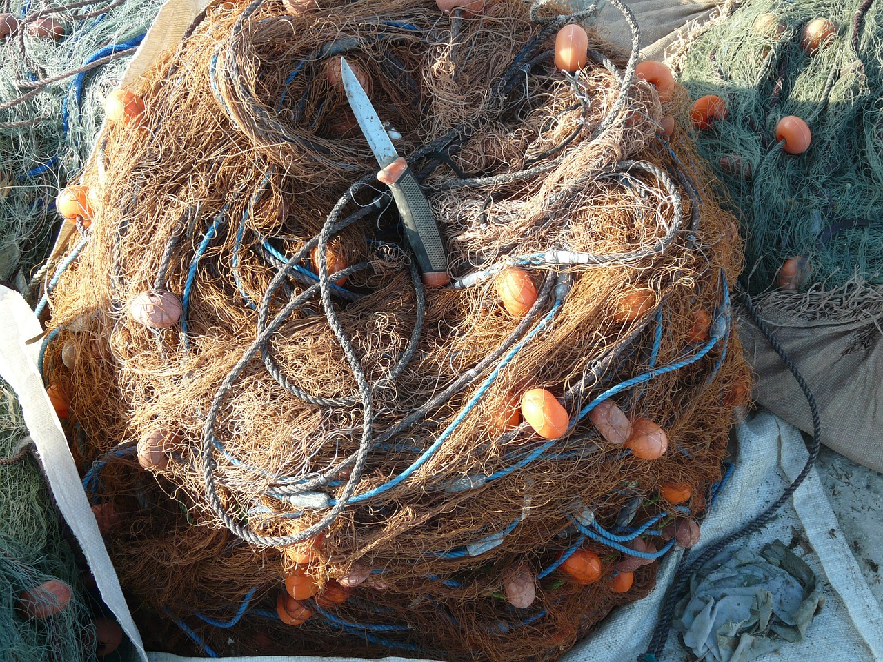 network fishing fishing net free photo