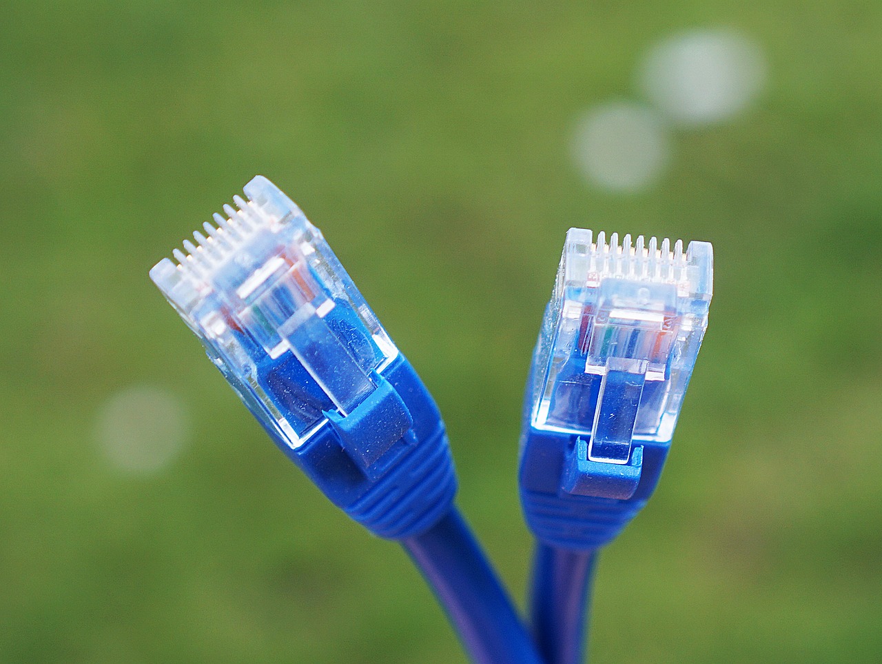 network cable cat6 cat5 free photo