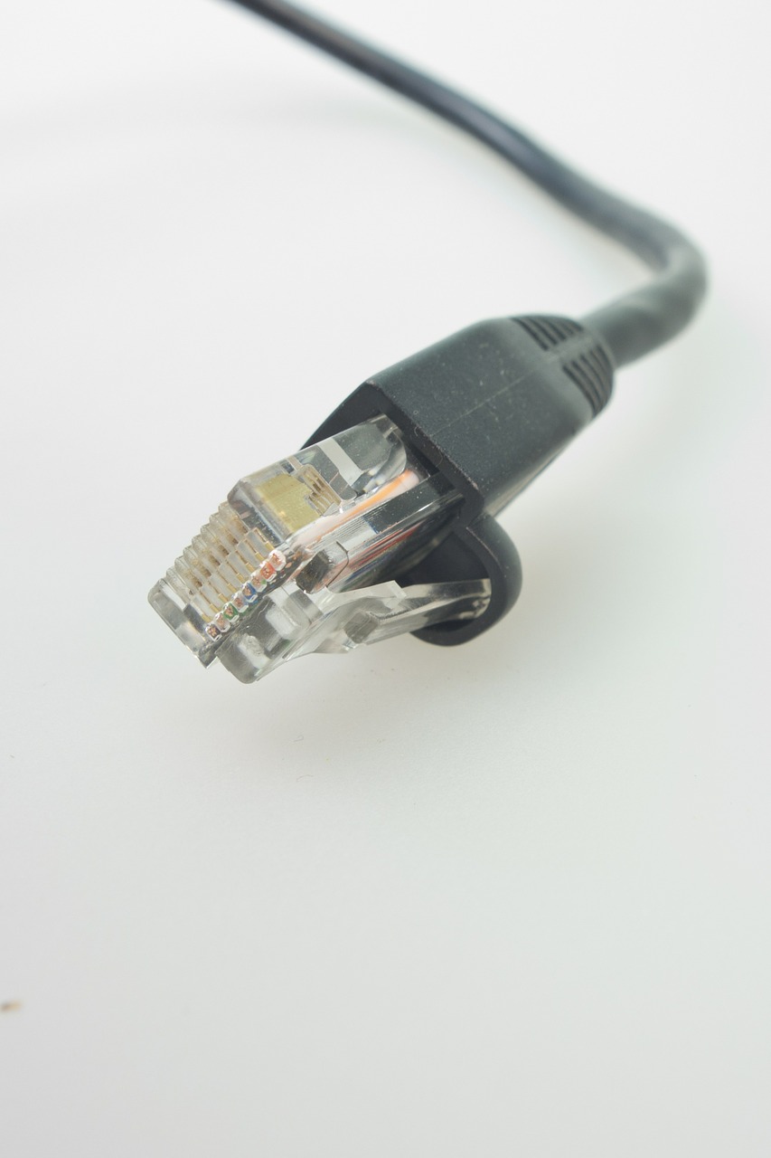 network cables rj plug free photo